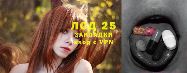 стаф Осташков