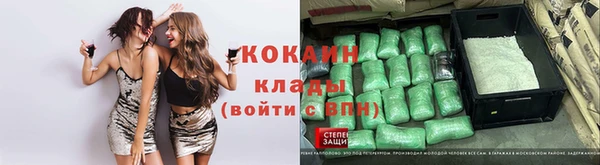 крисы Осинники