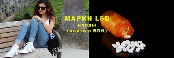 крисы Осинники