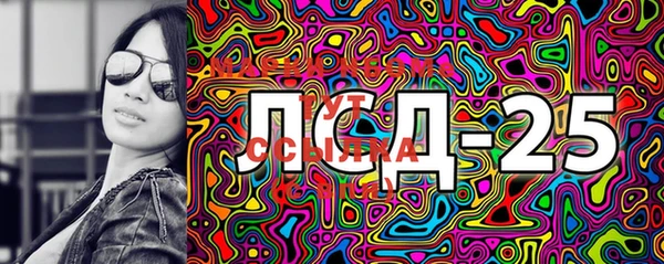 стаф Осташков