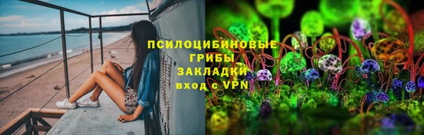 винт Пересвет