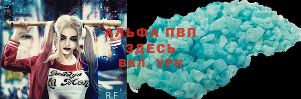 стаф Осташков