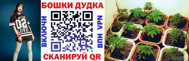 продажа наркотиков  блэк спрут маркетплейс  Канабис White Widow  Спасск-Рязанский 